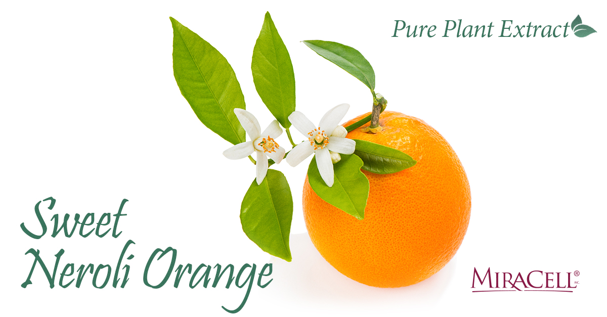 Sweet Neroli Orange